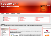 IBSI-US.COM Affordable Custom Web site design Tampa Florida